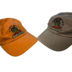 Fan Hat